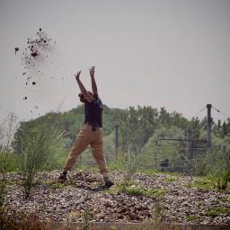 Rotofil