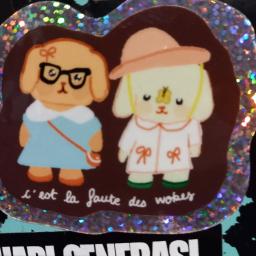 C'est la faute des woke
