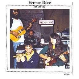 #223 Les trésors d'Herman Düne [2000-2011]