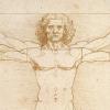 Léonard de Vinci s'expose à la croisée des arts et des sciences