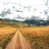 Camino (Combattants - I'm From Rennes 2022)